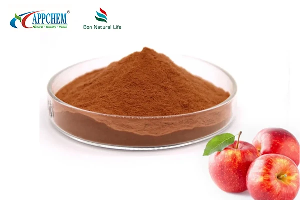 product-1-1 Procyanidin B2