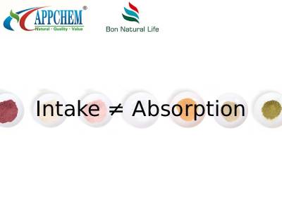 intake≠absorption