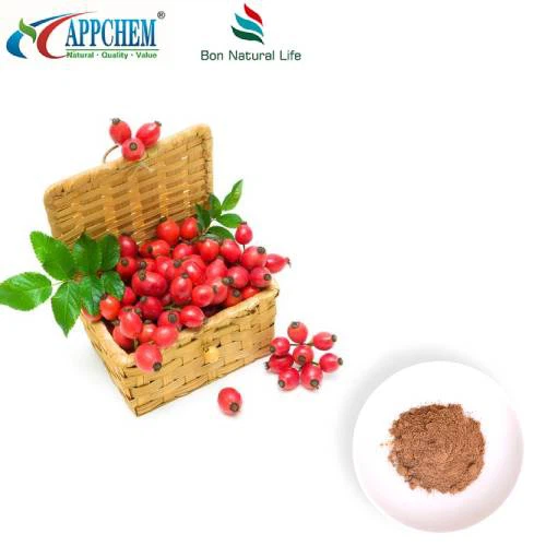 Kibuvitsamarja ekstrakti pulber