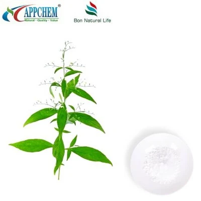 Andrographis Paniculata ekstrakt Andrografoliid