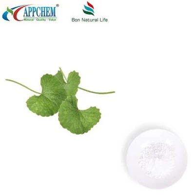Centella Asiatica ekstrakti pulber