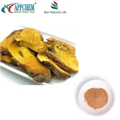 Resveratrol Polygonum Cuspidatum ekstrakti pulber