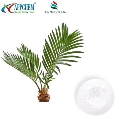 Saw Palmetto ekstrakti pulber